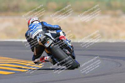 media/Oct-09-2022-SoCal Trackdays (Sun) [[95640aeeb6]]/Turn 14 Backside (1125am)/